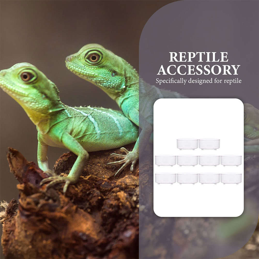 10Pcs Acrylic Reptile Food Dis - Water Dish Reptile のレビューと価格