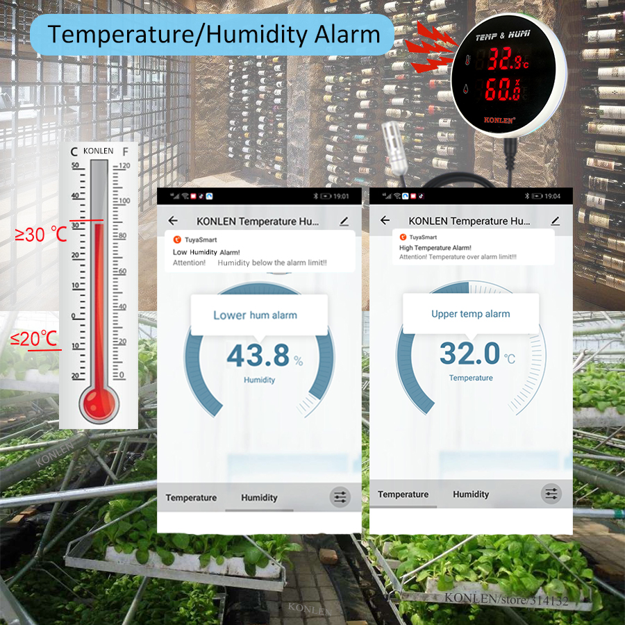 Tuya WIFI Temperature Humidity - Digital Hygrometer Probe のレビューと価格