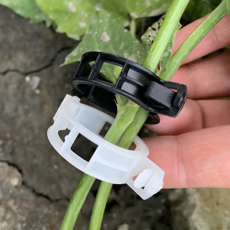 Reusable Plastic Plant Support - Vine Climbing Plastic のレビューと価格