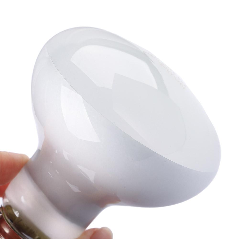 Lizard Heater Temperature Cont - Basking Bulb Halogen のレビューと価格