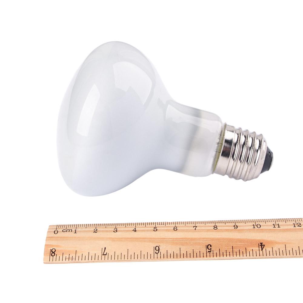 Lizard Heater Temperature Cont - Basking Bulb Halogen のレビューと価格
