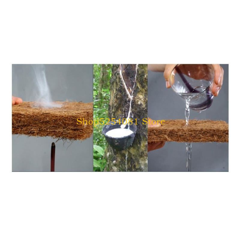 AXYC Reptiles Sleeping Mat Bed - Substrate Coconut Fiber のレビューと価格