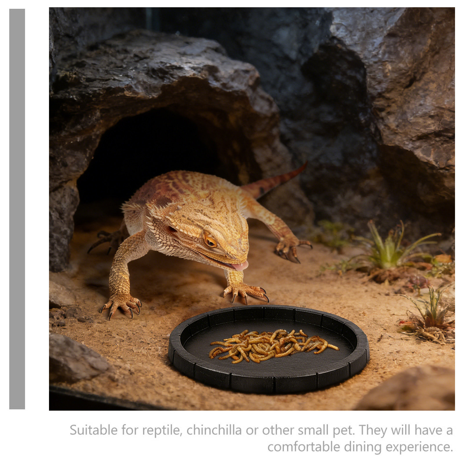 Reptile Feeding Bowl Compact L - Water Dish Reptile のレビューと価格