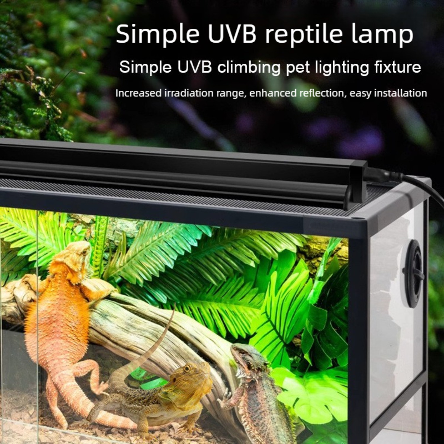 Reptile UVB Lamp Combo Kit UVA - Calcium Powder Reptile のレビューと価格