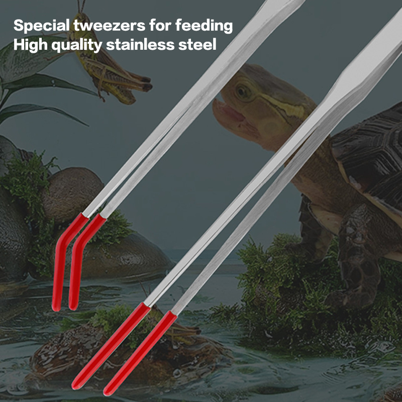 Stainless Steel Fish Tank Main - Feeding Tong Stainless のレビューと価格