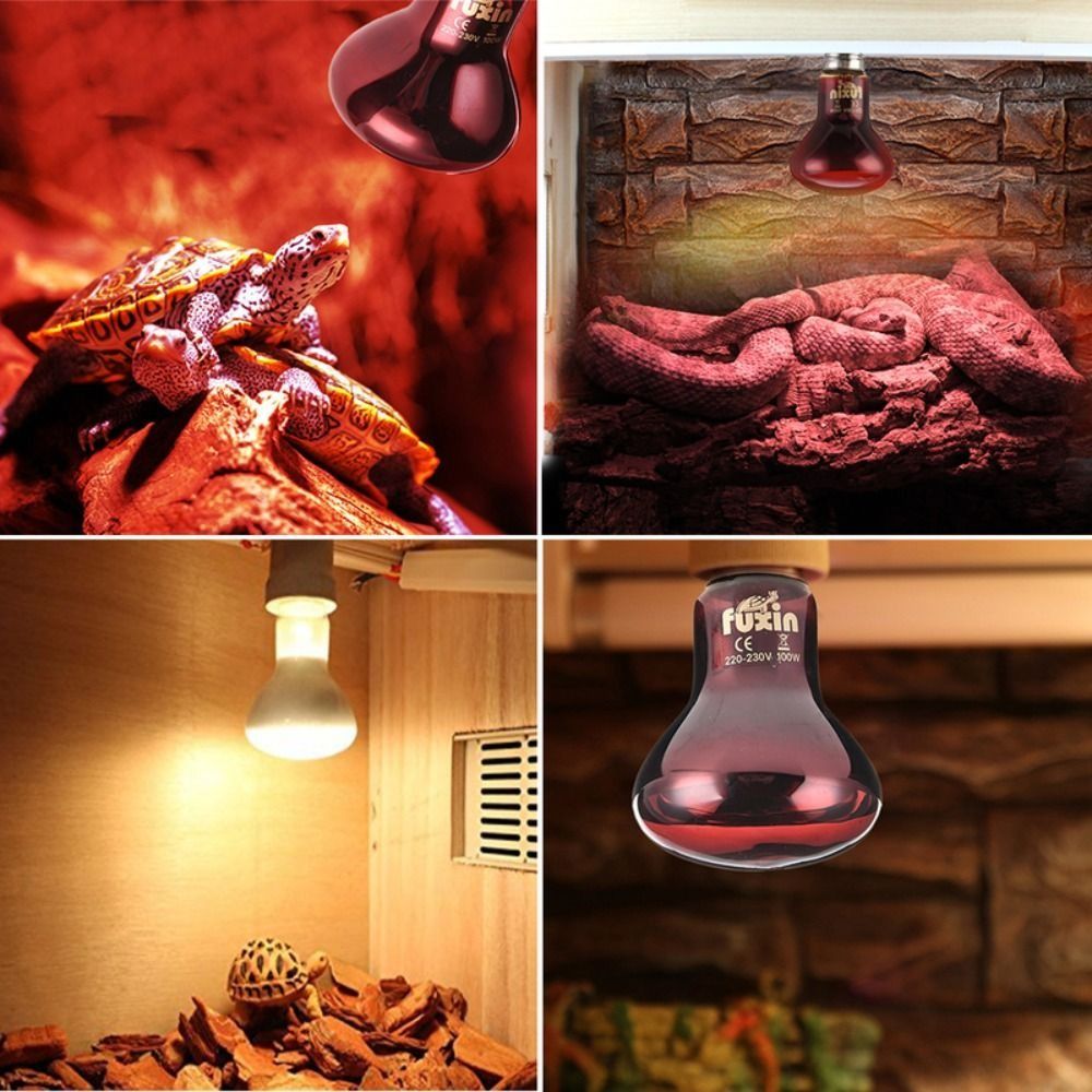 Infrared Led Pet Heating Lamp  - Ceramic Heat Emitter のレビューと価格