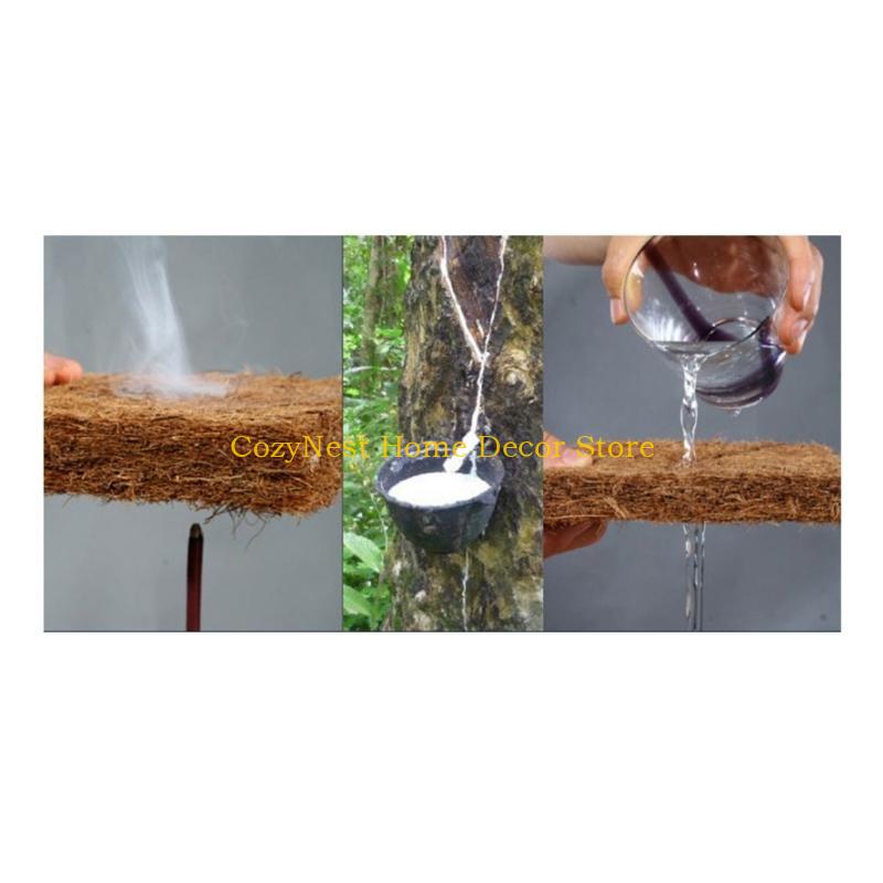 92MF Terrariums Substrate Line - Substrate Coconut Fiber のレビューと価格