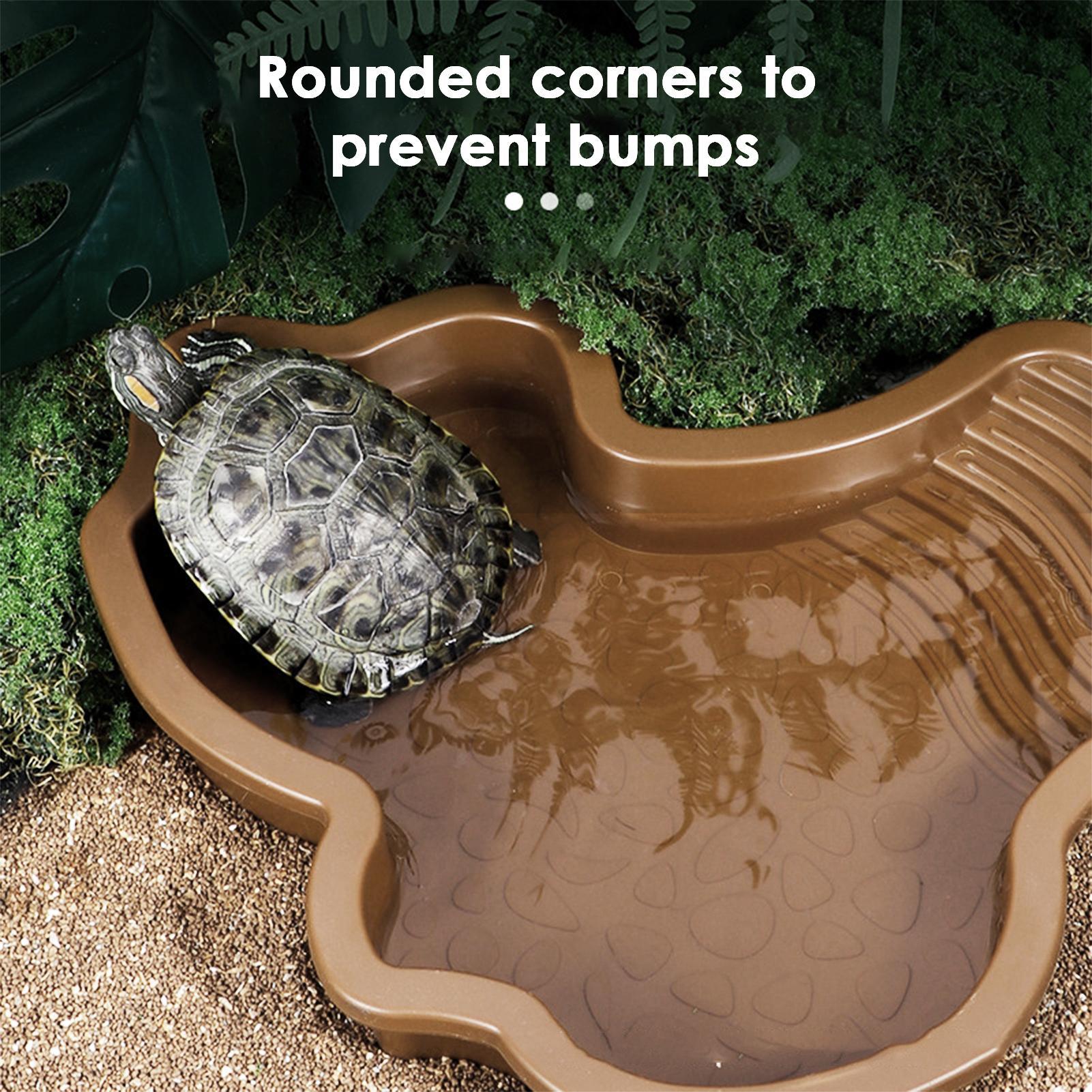 Reptile Bathing Pool with Ramp - Water Dish Reptile のレビューと価格