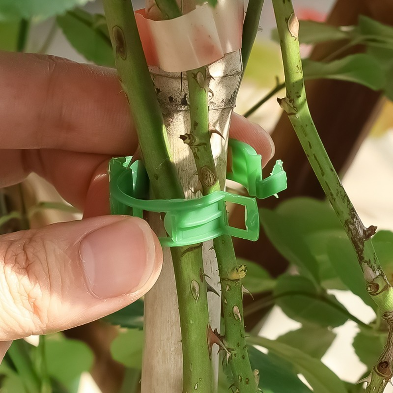 10-500Pcs Garden Plant Support - Vine Climbing Plastic のレビューと価格