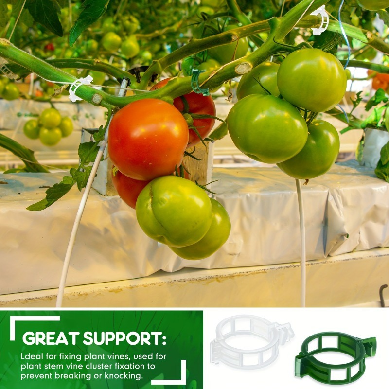 10-500Pcs Garden Plant Support - Vine Climbing Plastic のレビューと価格