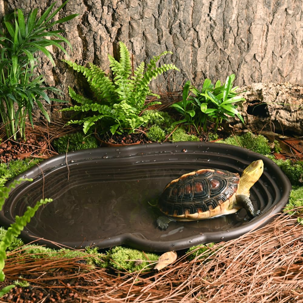 Reptile Bathing Dish Amphibian - Water Dish Reptile のレビューと価格