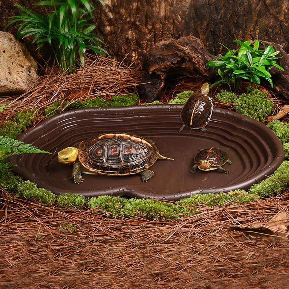 Reptile Bathing Dish Amphibian - Water Dish Reptile のレビューと価格