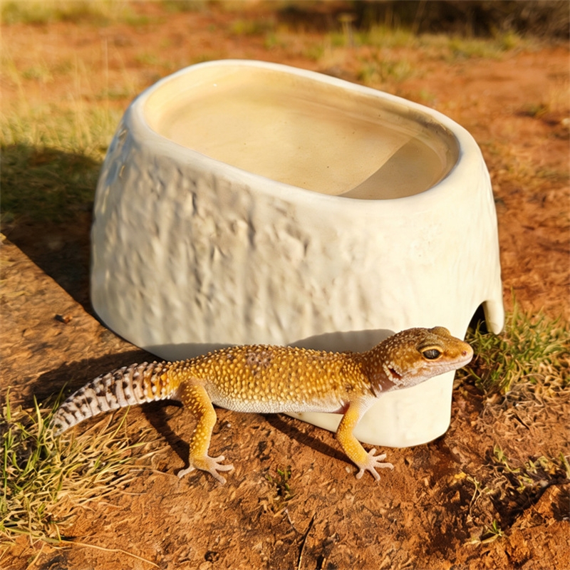 Ceramic Leopard Print Humid Hi - Hide Cave Ceramic のレビューと価格
