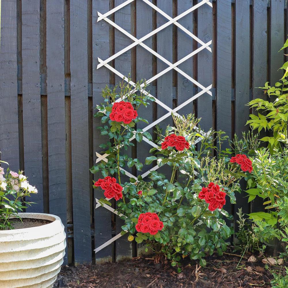 Expandable Garden Trellis 70 x - Vine Climbing Plastic のレビューと価格