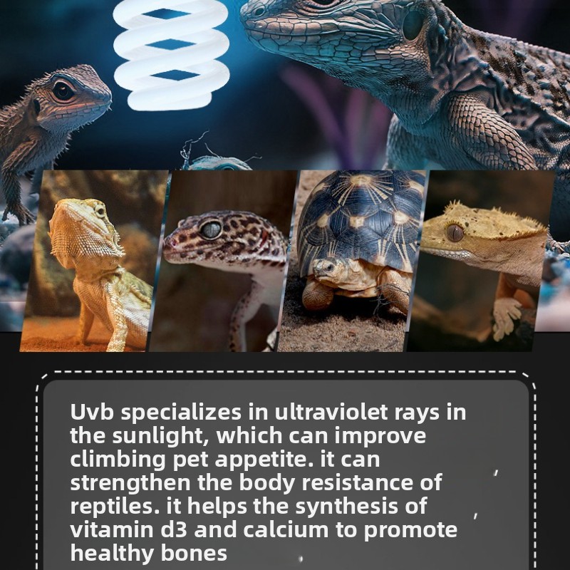 NOMOY 26W UVB Reptile Light Ca - Vitamin D3 Reptile のレビューと価格