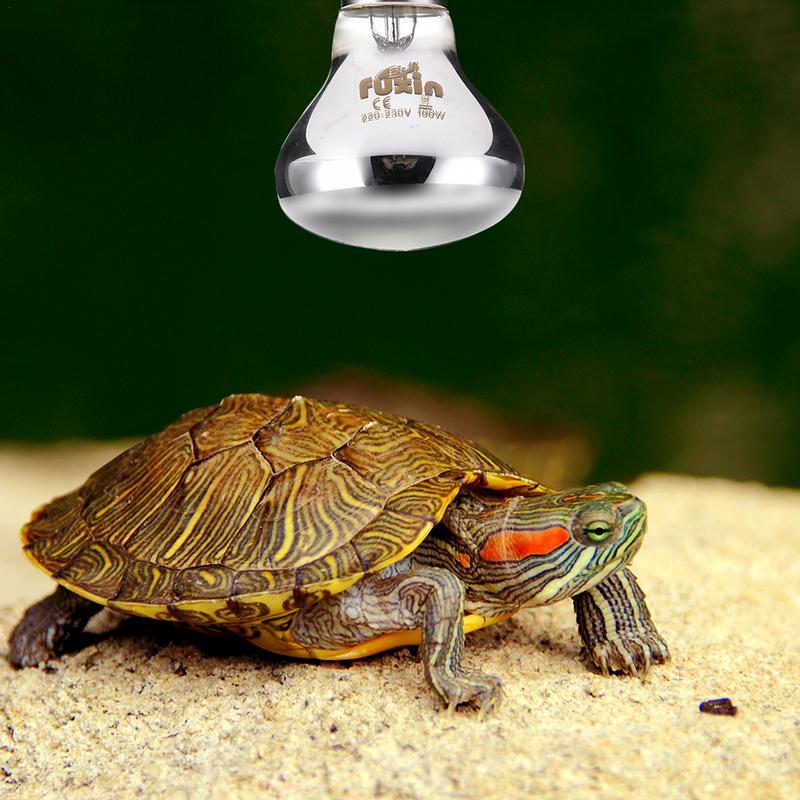 Pet Heating Lamp E27 Day Night - Ceramic Heat Emitter のレビューと価格