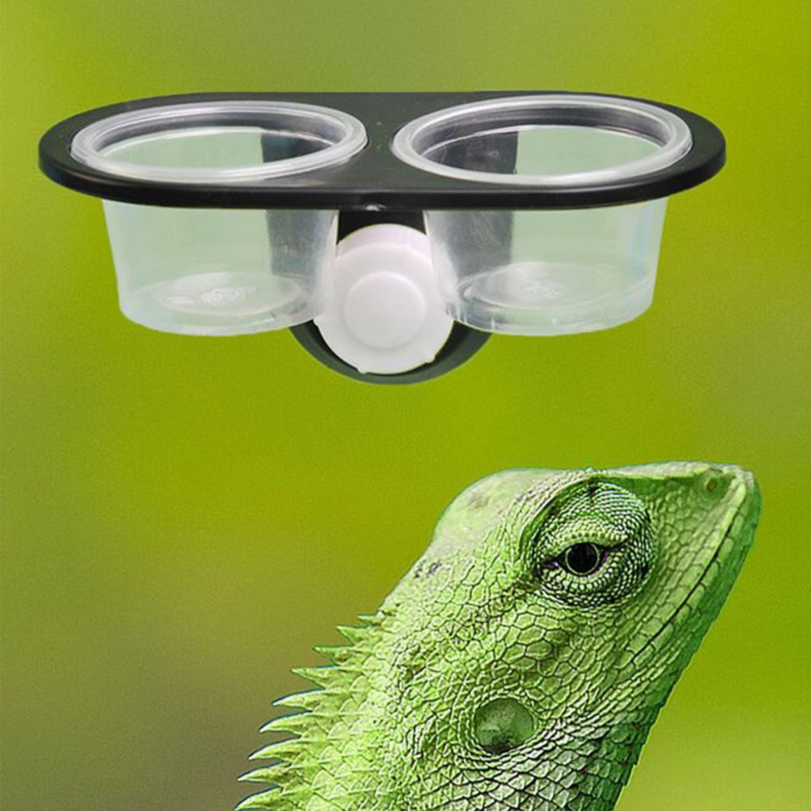 Gecko Food Dish Gecko Feeding  - Water Dish Reptile のレビューと価格