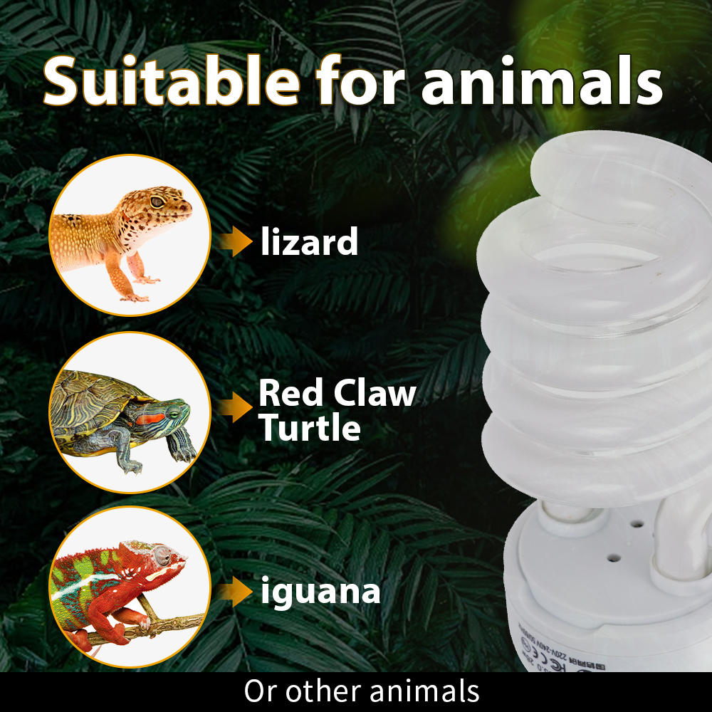 26W Pet Box Lamp Calcium Suppl - Calcium Powder Reptile のレビューと価格