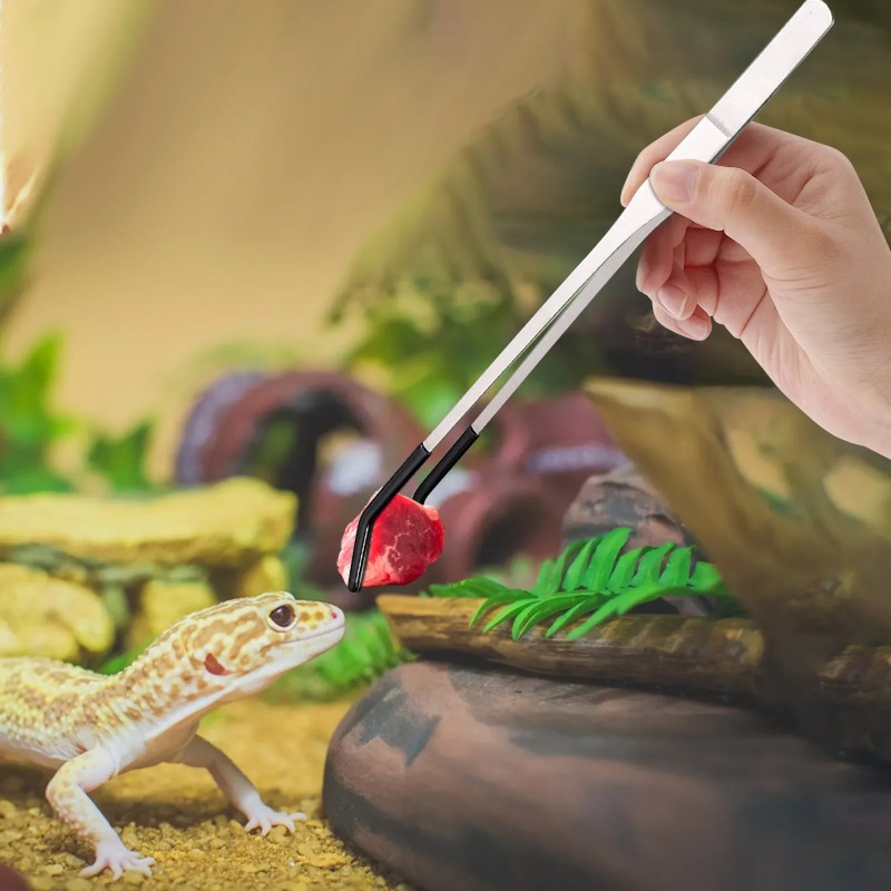2Pcs Stainless Steel Tweezers  - Feeding Tong Stainless のレビューと価格