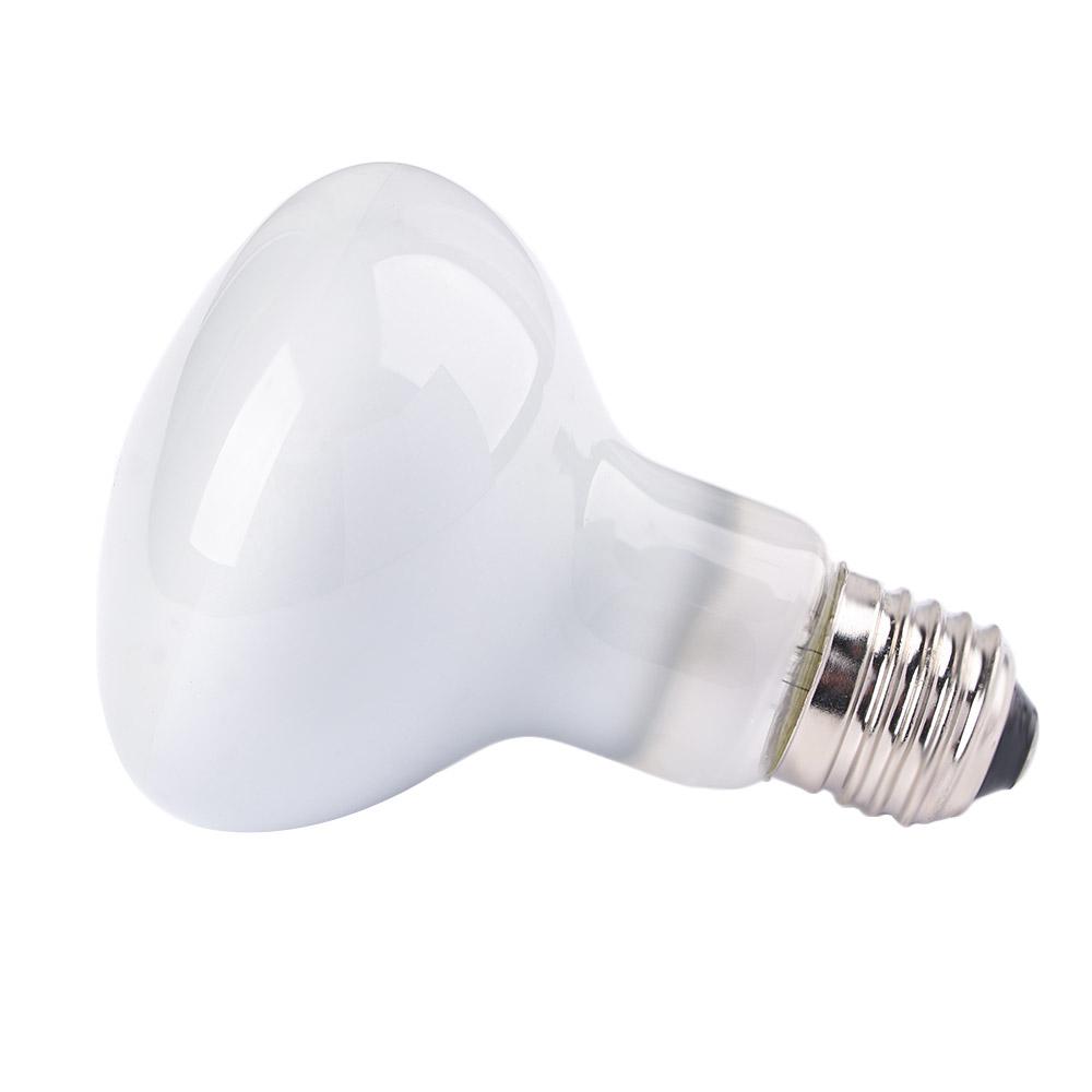 Amphibians Temperature Control - Basking Bulb Halogen のレビューと価格