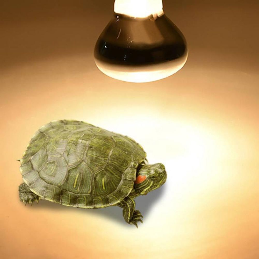 Amphibians Temperature Control - Basking Bulb Halogen のレビューと価格