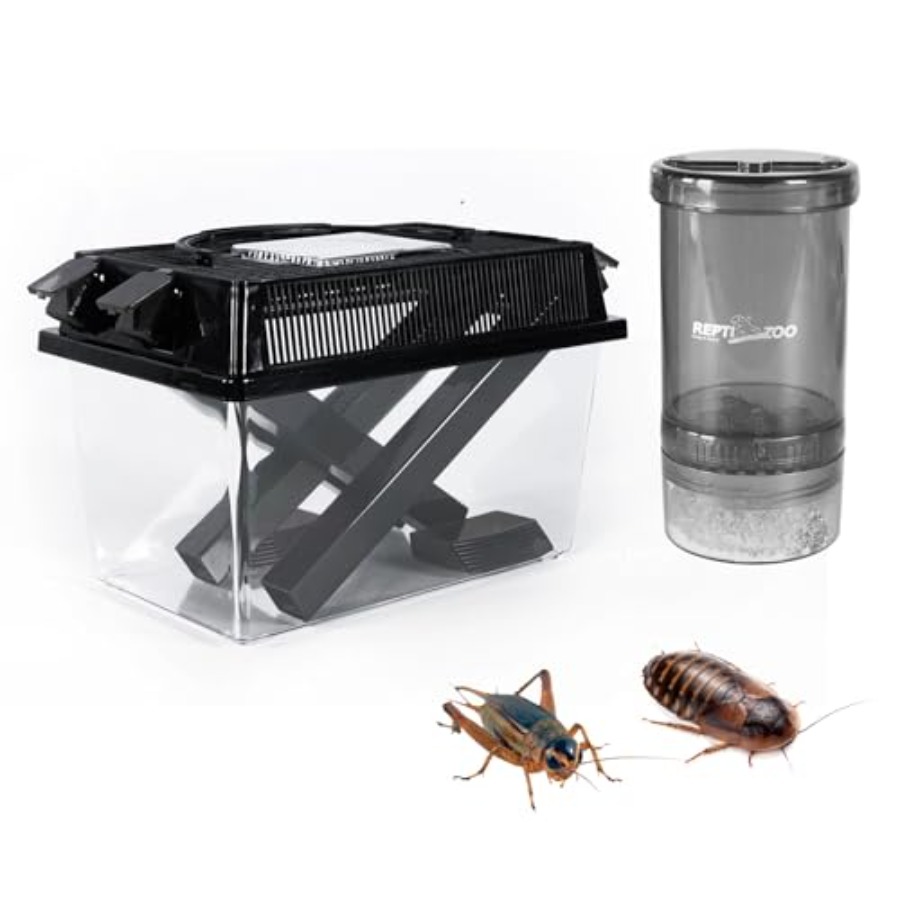 【Spot goods】Reptile Cricket Ke - Calcium Powder Reptile のレビューと価格