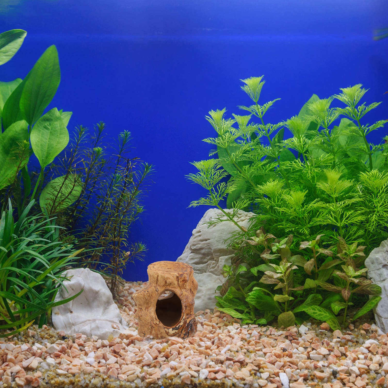 Pleco Caves Fish Tank Decorati - Hide Cave Ceramic のレビューと価格