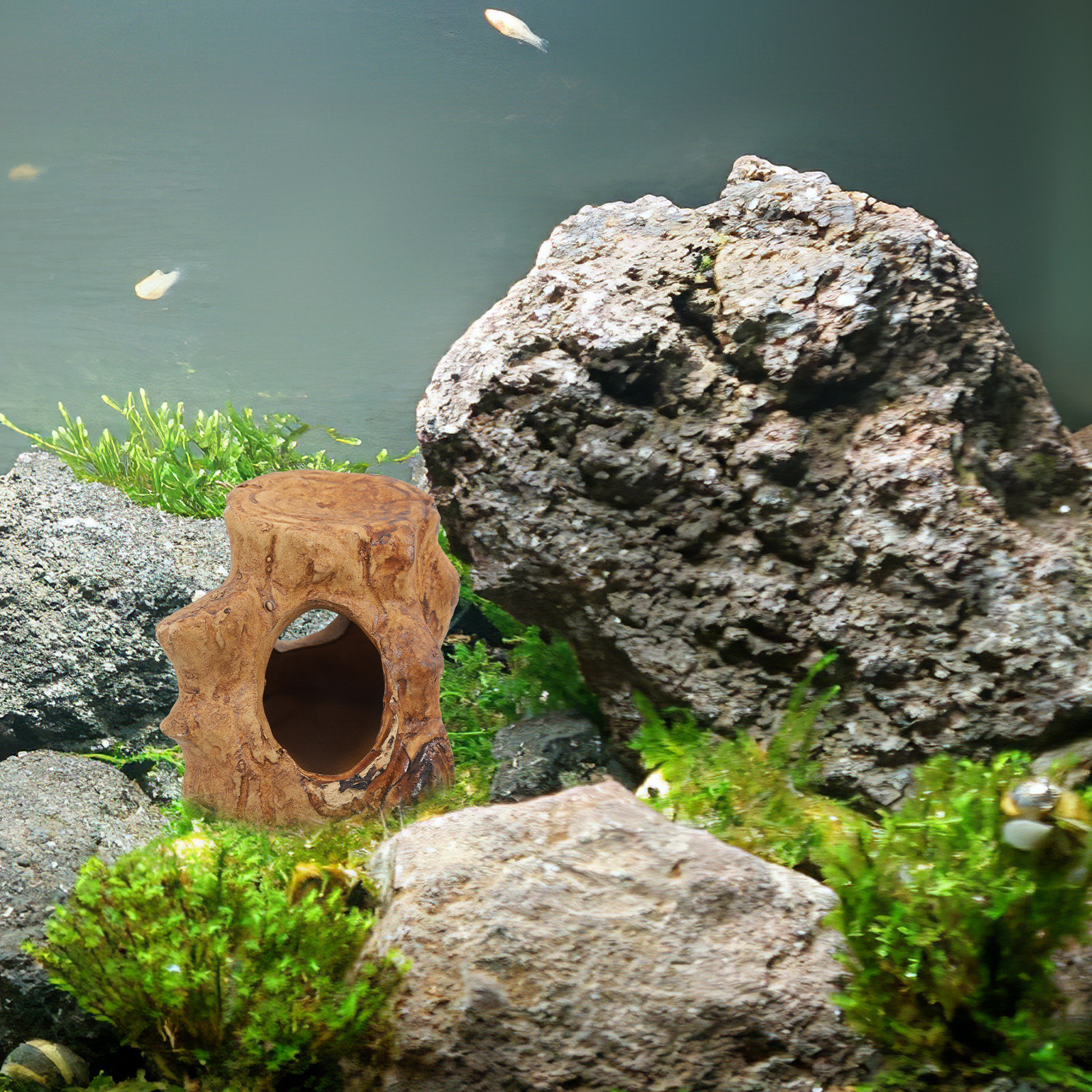 Pleco Caves Fish Tank Decorati - Hide Cave Ceramic のレビューと価格