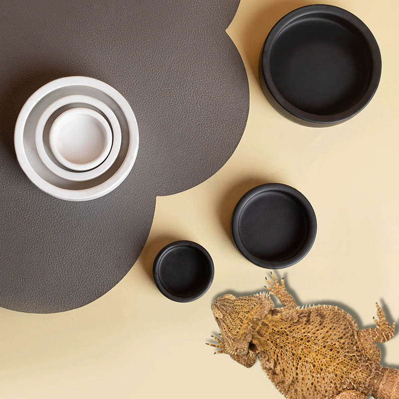 HOT! Reptile Food Bowl Anti-Es - Water Dish Reptile のレビューと価格