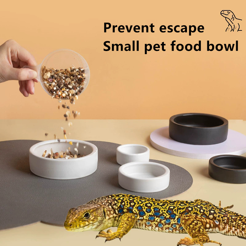 HOT! Reptile Food Bowl Anti-Es - Water Dish Reptile のレビューと価格