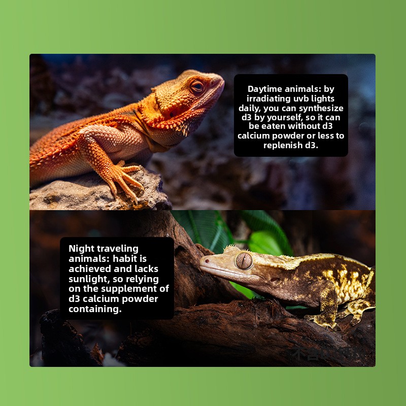Reptizoo Reptile Calcium Powde - Calcium Powder Reptile のレビューと価格