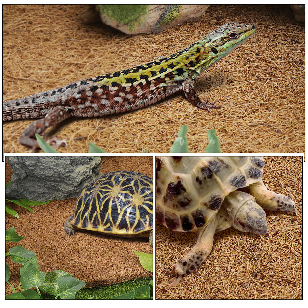 Reptile Carpet Natural Coconut - Substrate Coconut Fiber のレビューと価格