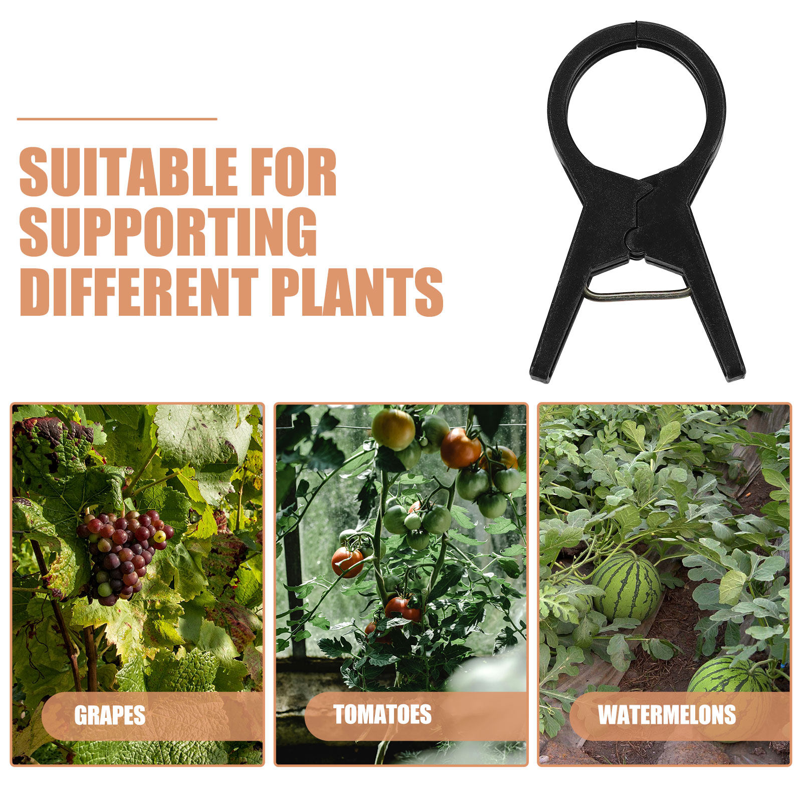 100Pcs Plastic Plant Clips Sma - Vine Climbing Plastic のレビューと価格
