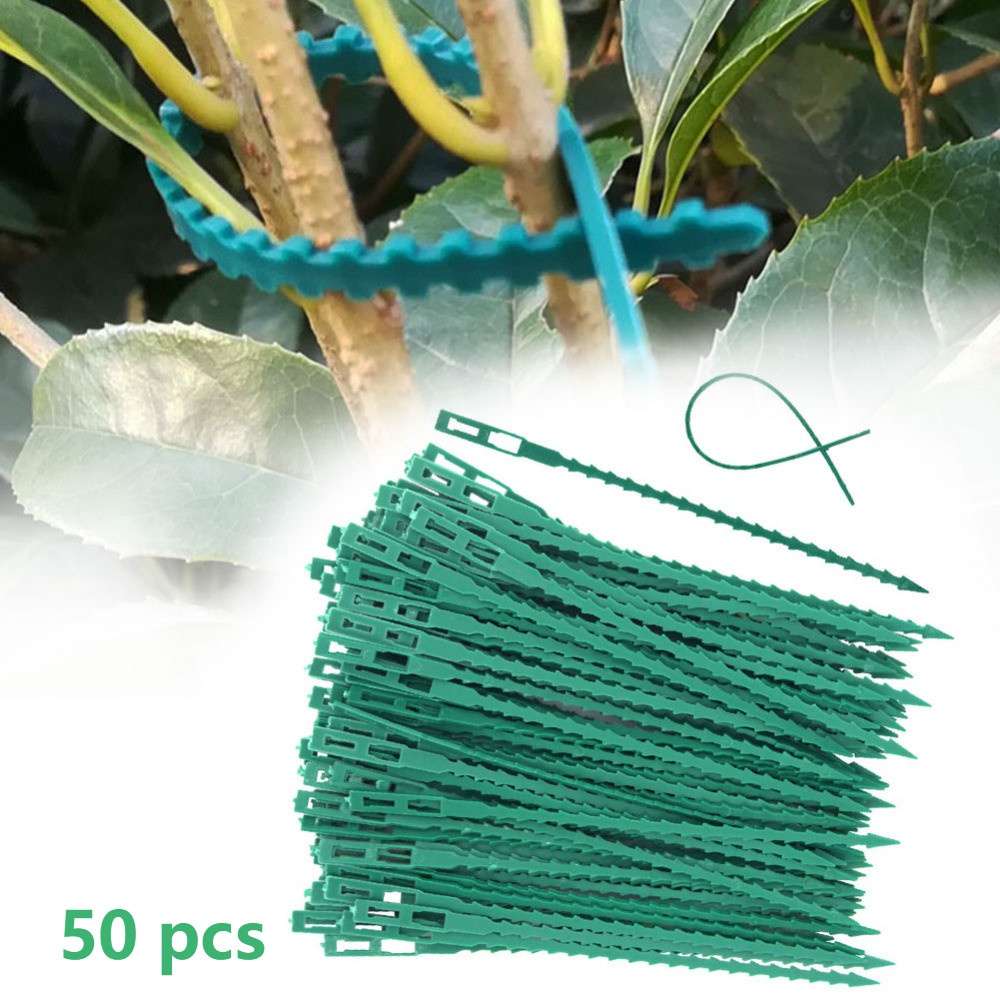 50Pcs Reusable Adjustable Plas - Vine Climbing Plastic のレビューと価格