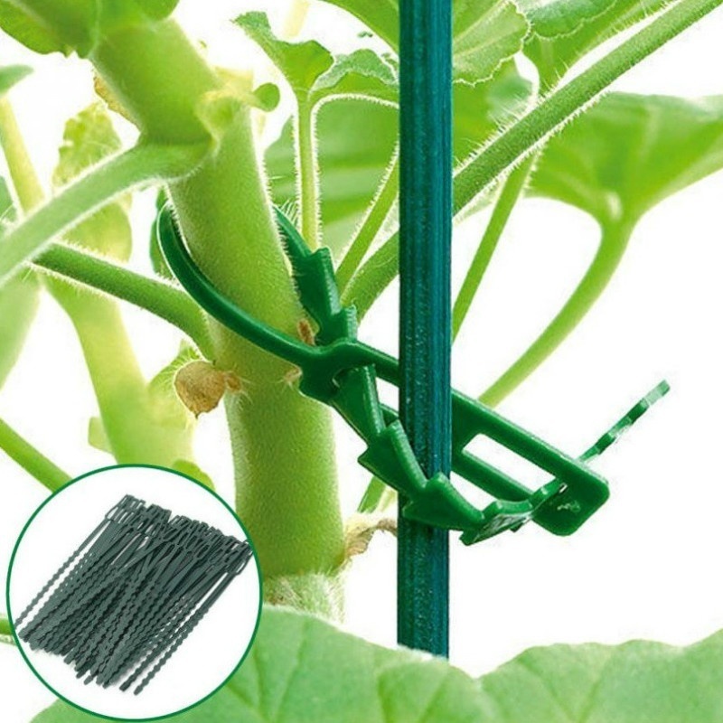 50Pcs Reusable Adjustable Plas - Vine Climbing Plastic のレビューと価格