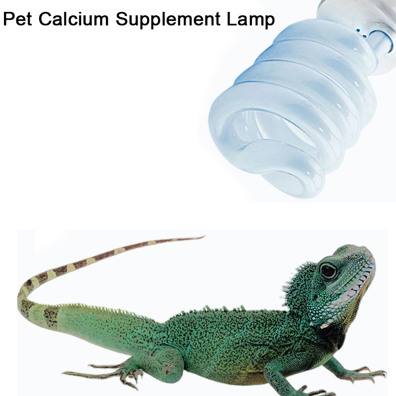 E27 13W/26W Reptile Uvb Lamp   - Calcium Powder Reptile のレビューと価格