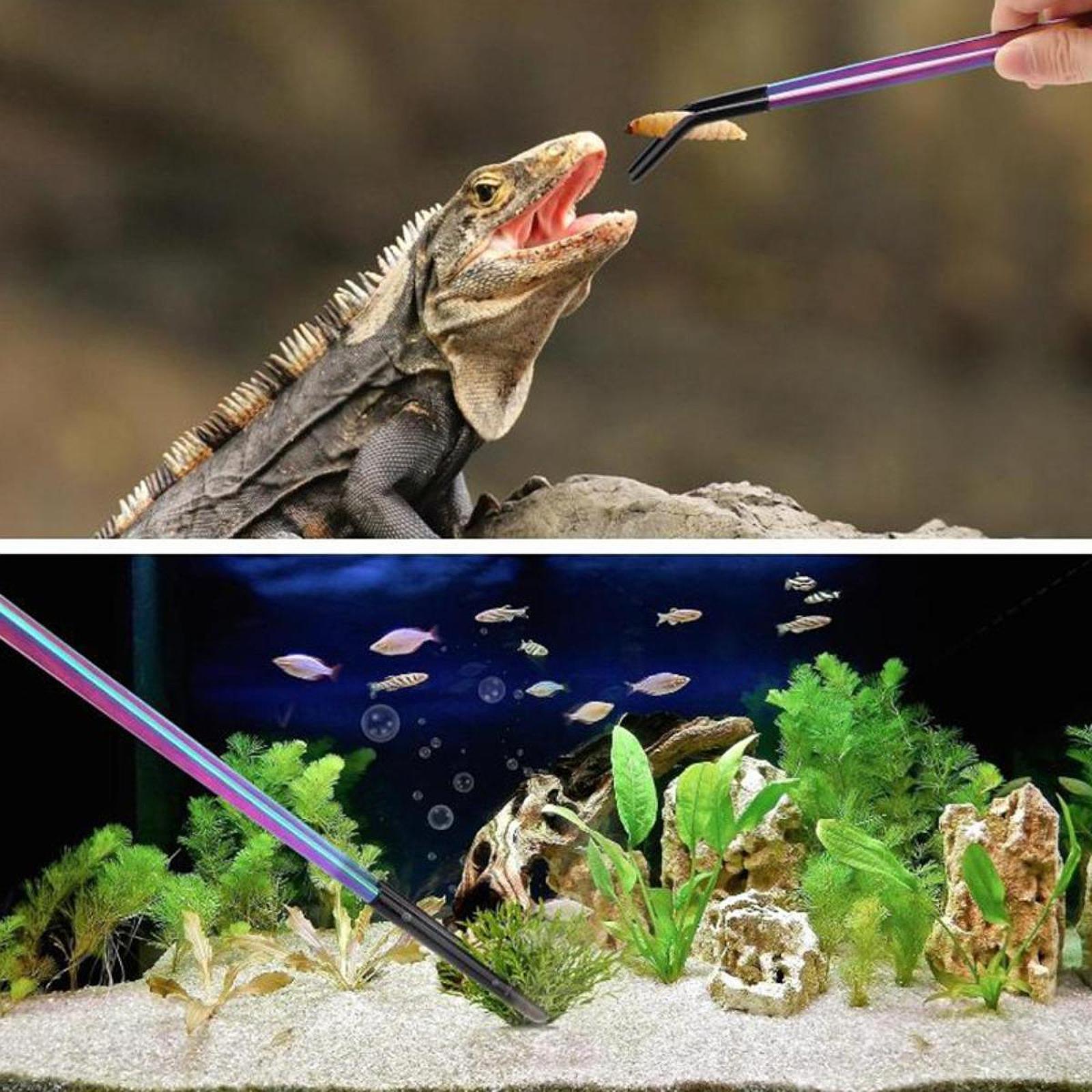 Reptile Feeder Tongs Soft Sili - Feeding Tong Stainless のレビューと価格
