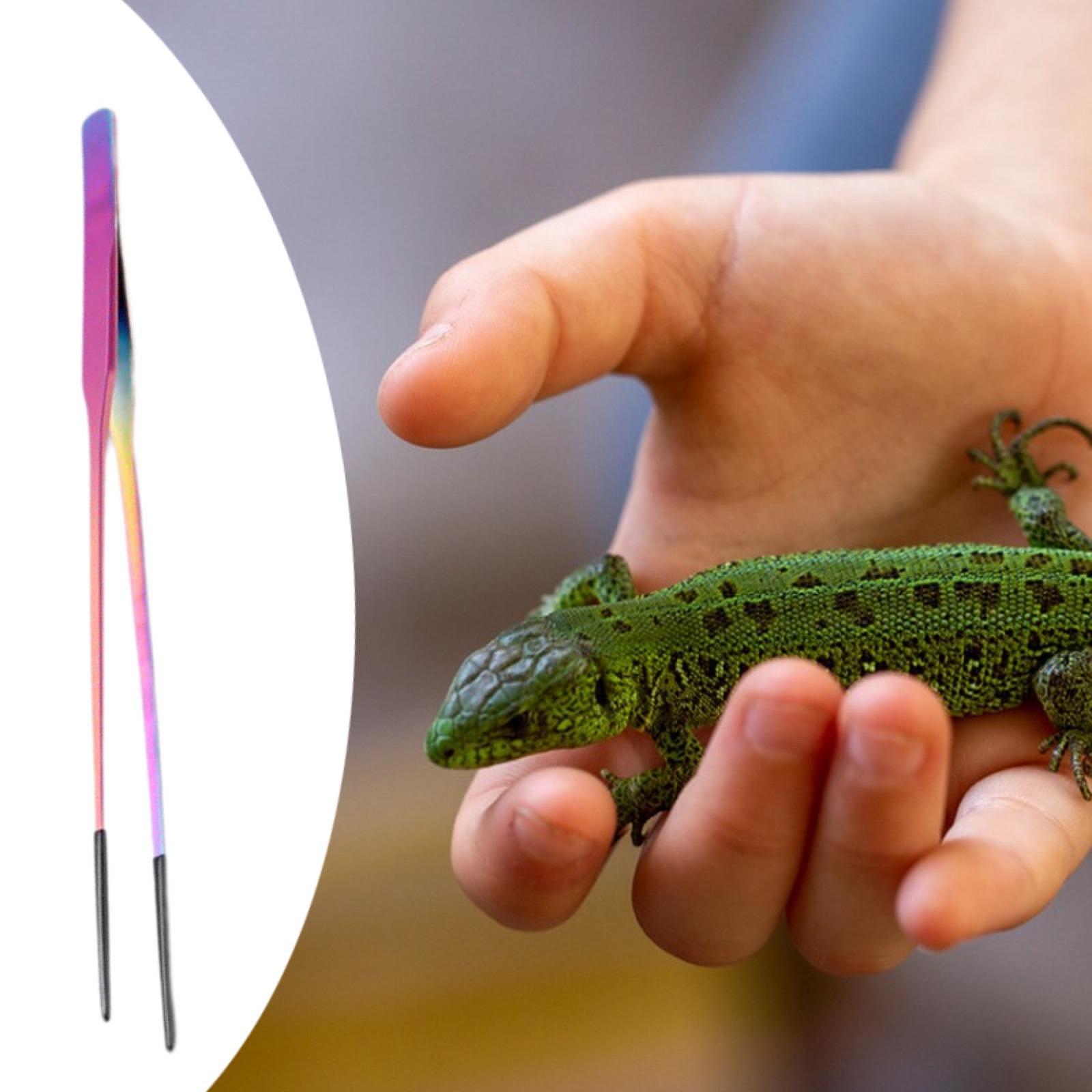 Reptile Feeder Tongs Soft Sili - Feeding Tong Stainless のレビューと価格