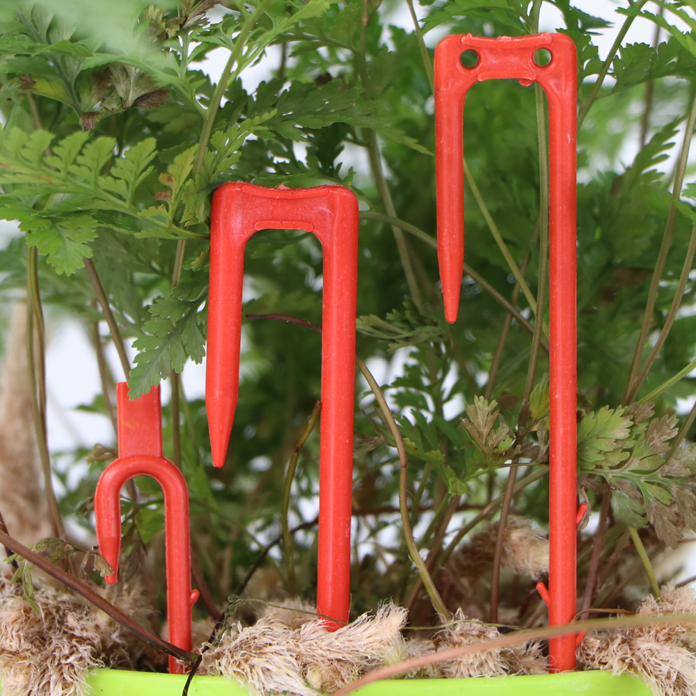 20-50PCS Strawberry Planting F - Vine Climbing Plastic のレビューと価格