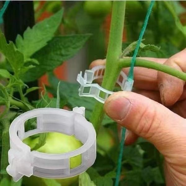 500Pcs Plastic Plant Support C - Vine Climbing Plastic のレビューと価格