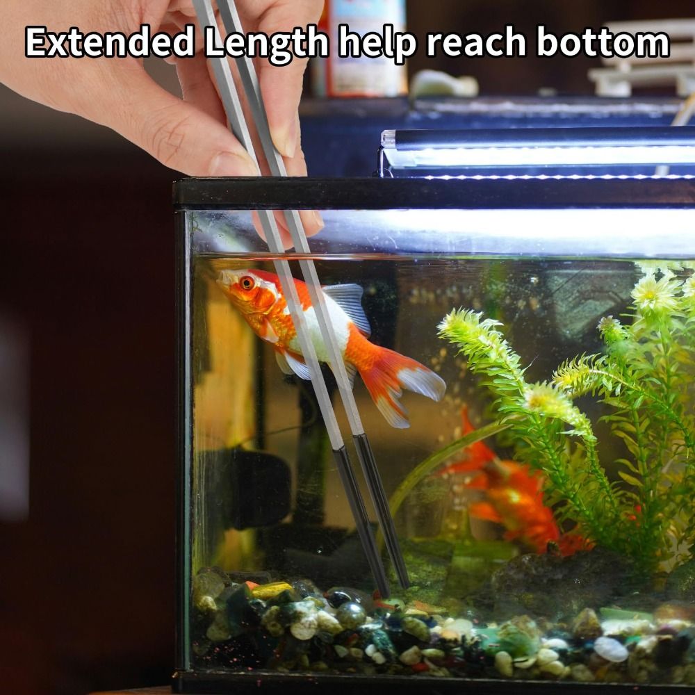 Stainless Steel Aquarium Feedi - Feeding Tong Stainless のレビューと価格