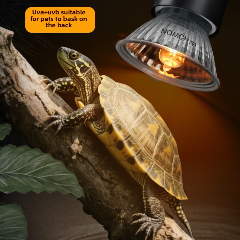 NOMOY 25/50/75w UVB 3.0 Reptil - Vitamin D3 Reptile のレビューと価格