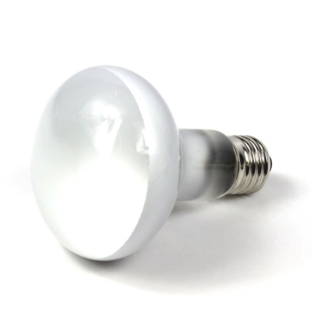 Lizard Heater Temperature Cont - Basking Bulb Halogen のレビューと価格