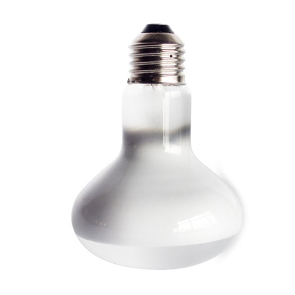 Lizard Heater Temperature Cont - Basking Bulb Halogen のレビューと価格