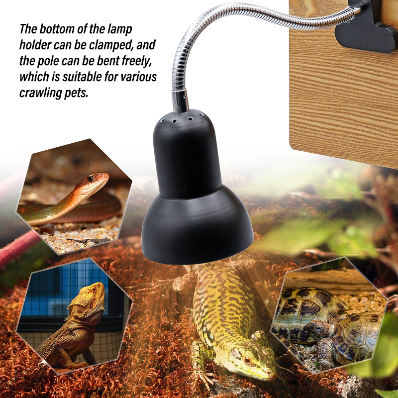 UVA+UVB 3.0 Reptile Lamp Holde - Ceramic Heat Emitter のレビューと価格