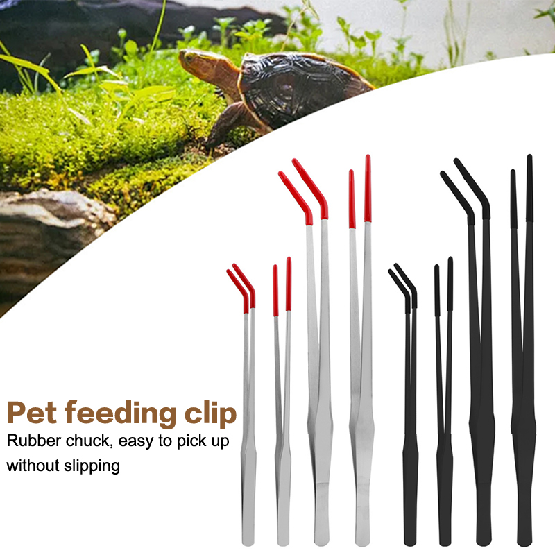 Stainless Steel Reptile Feedin - Feeding Tong Stainless のレビューと価格