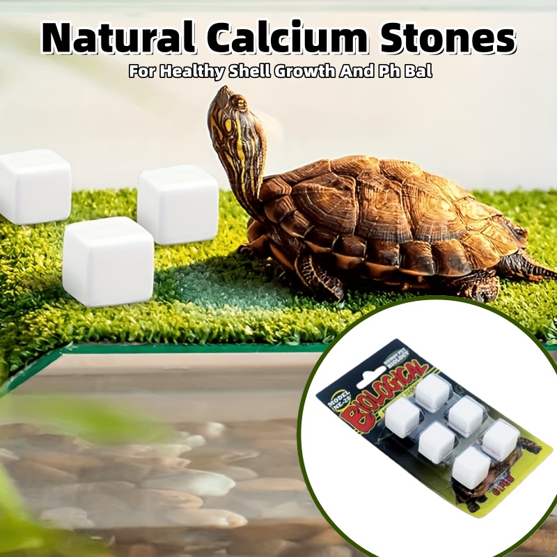 6 Pcs Fish Tank Calcium Block  - Calcium Powder Reptile のレビューと価格