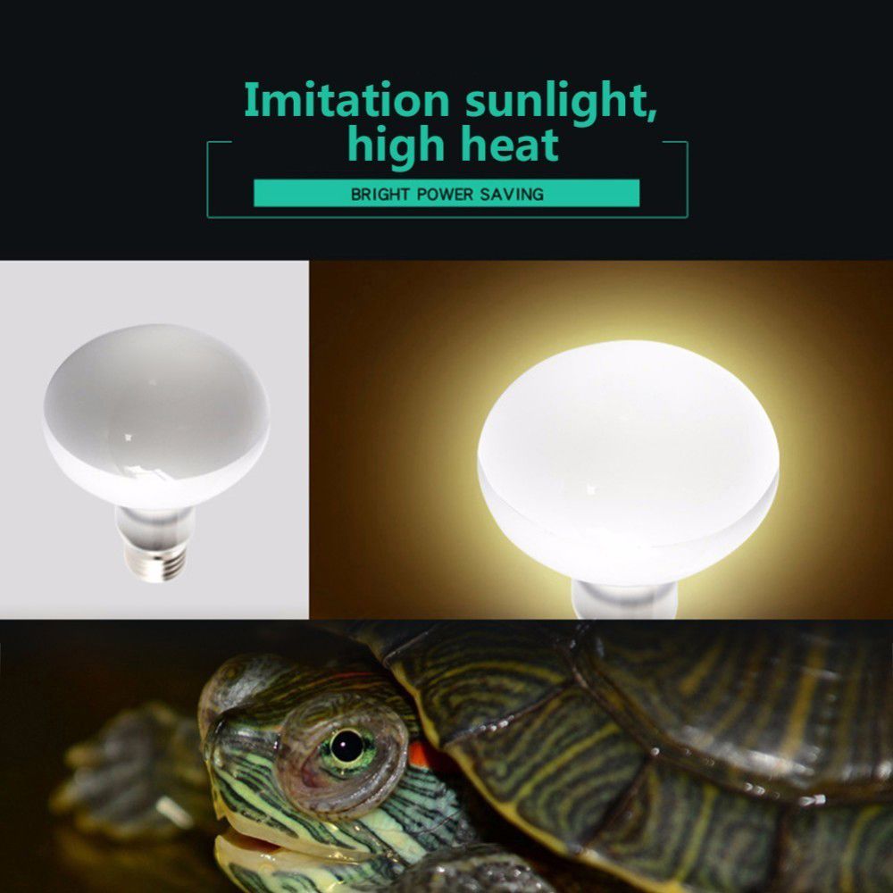 Amphibians Heat Lamp Temperatu - Basking Bulb Halogen のレビューと価格