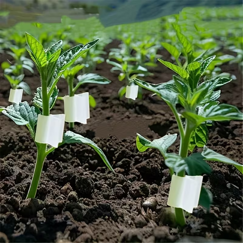 50pcs Agriculture Grafting Cli - Vine Climbing Plastic のレビューと価格