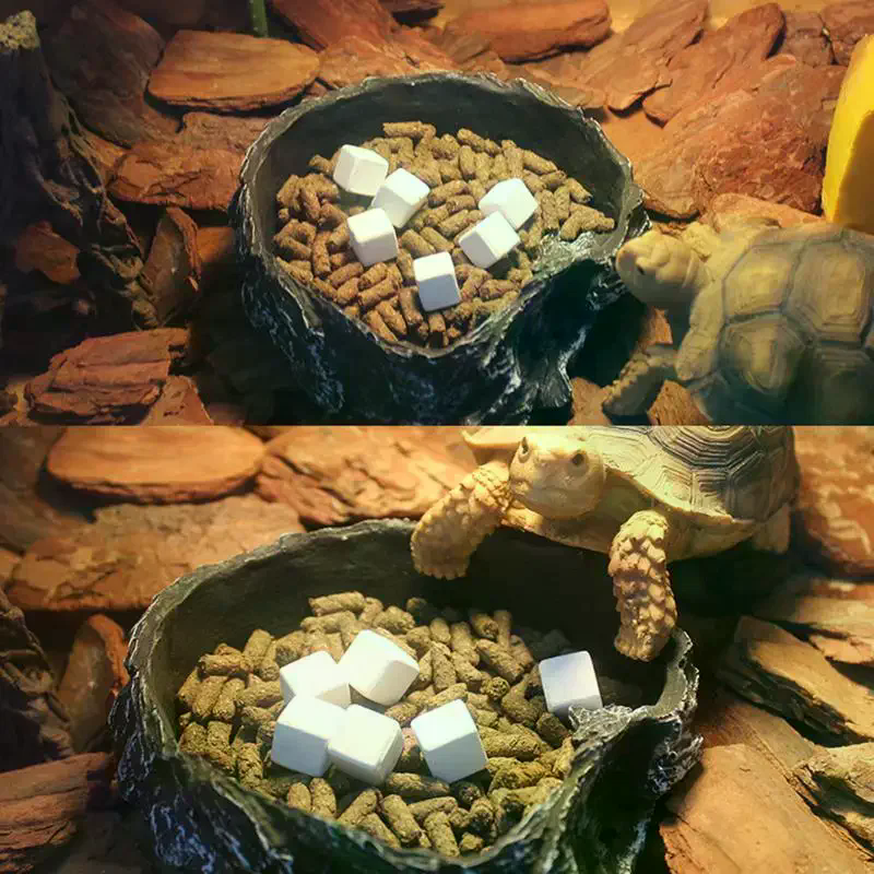 Slow Release Calcium Mineral B - Calcium Powder Reptile のレビューと価格